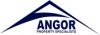 ANGOR PROPERTY SPECIALISTS